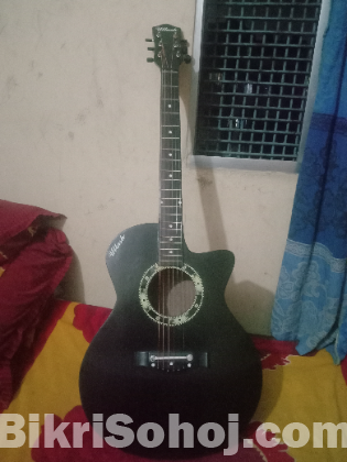 Guiter Signeture